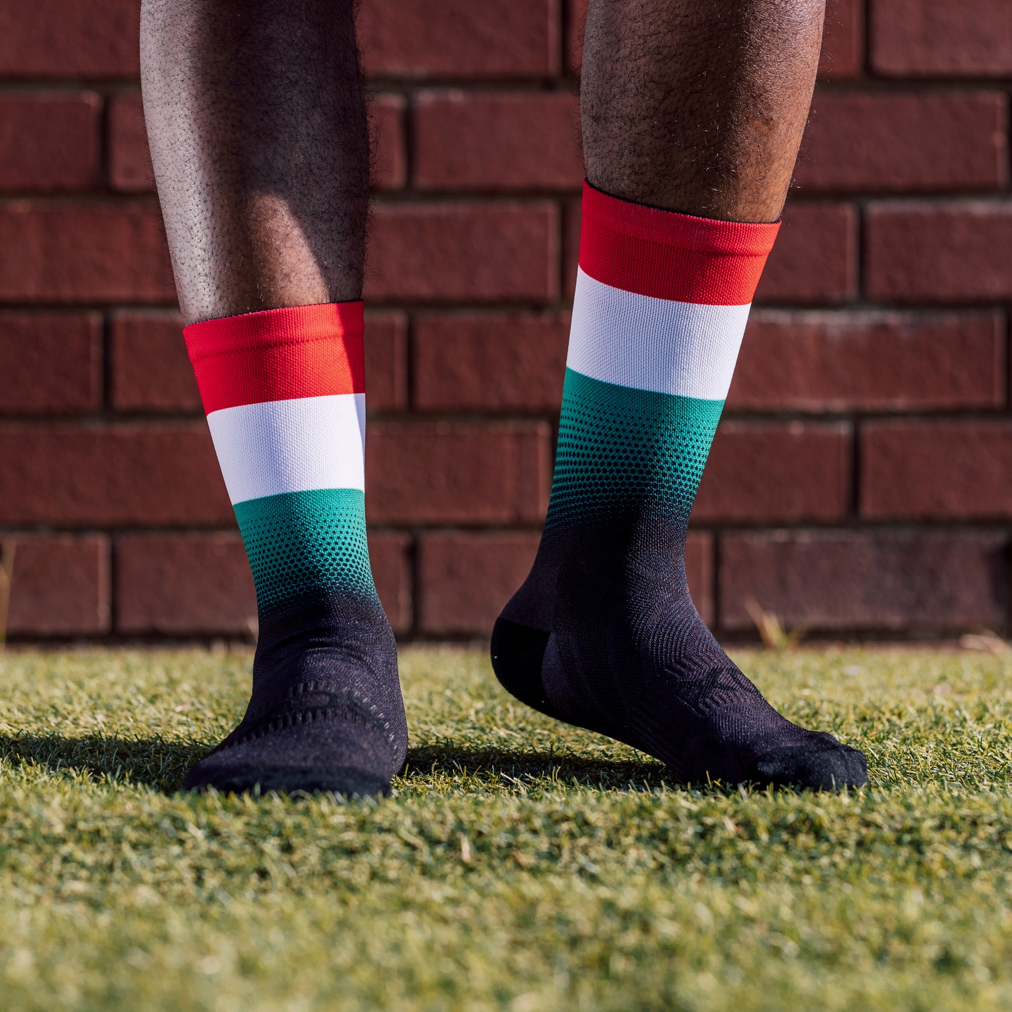 Hungary Flag Crew Socks