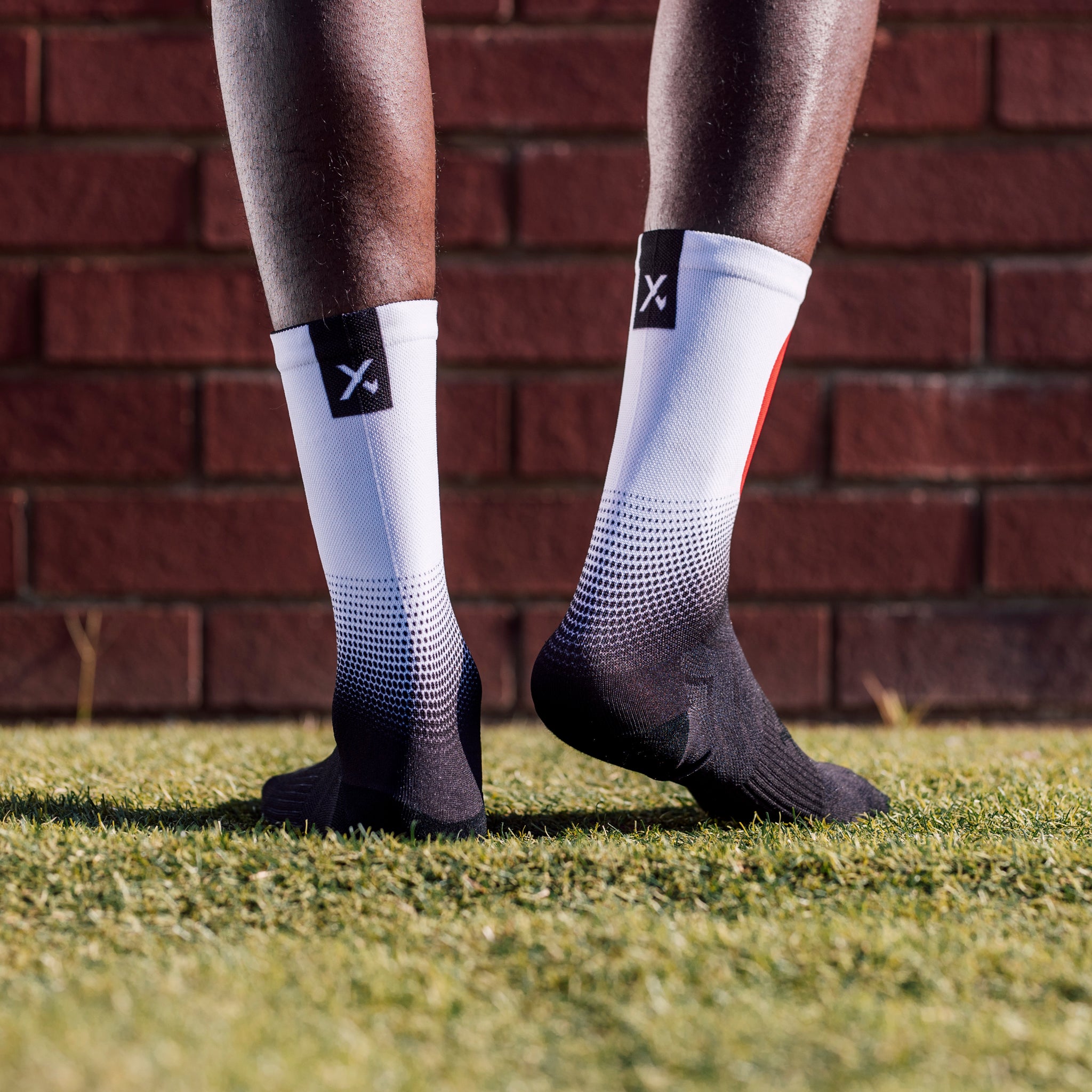 Japan Flag Crew Socks