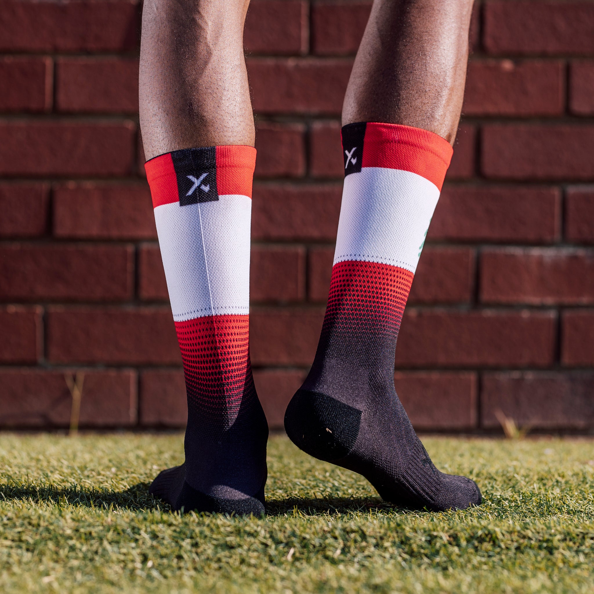 Lebanon Flag Crew Socks