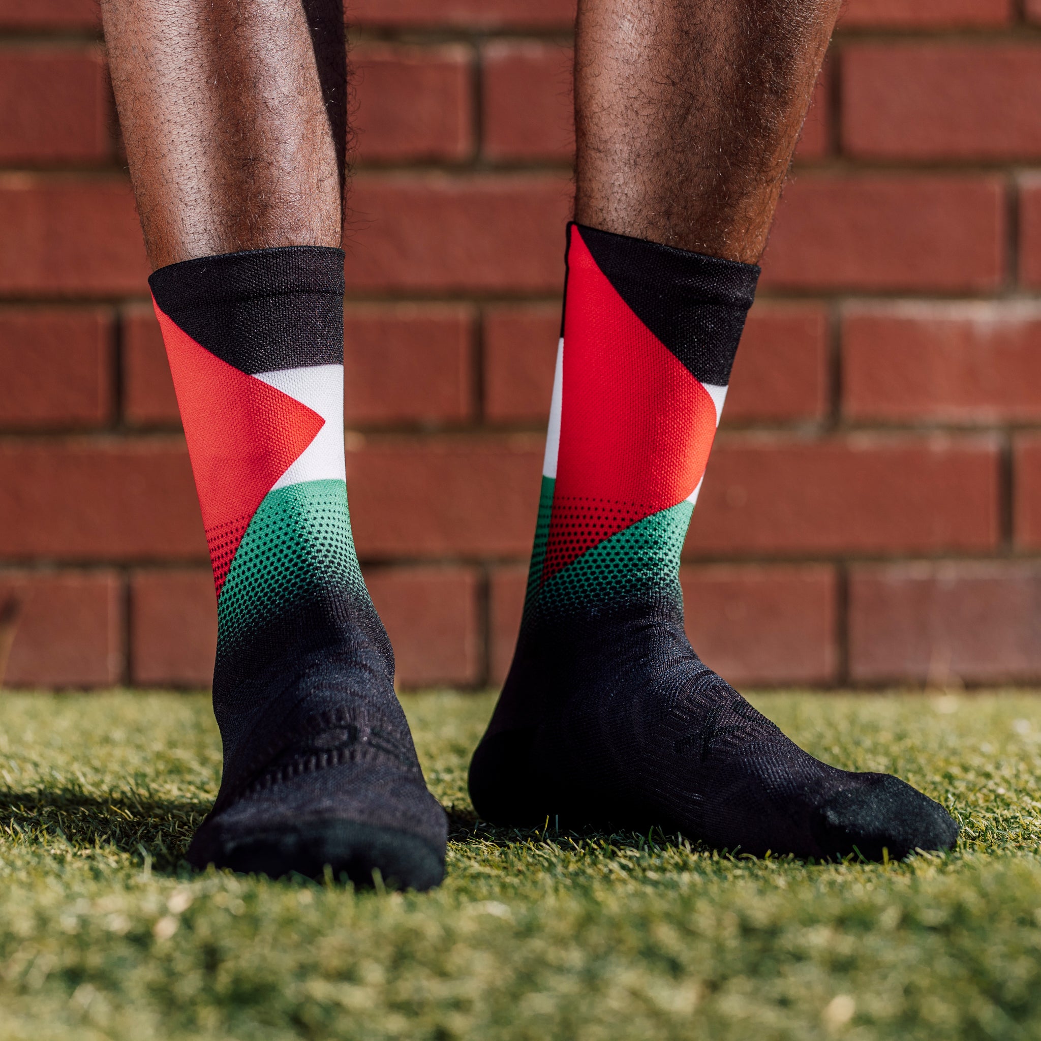 Palestine Flag Crew Socks
