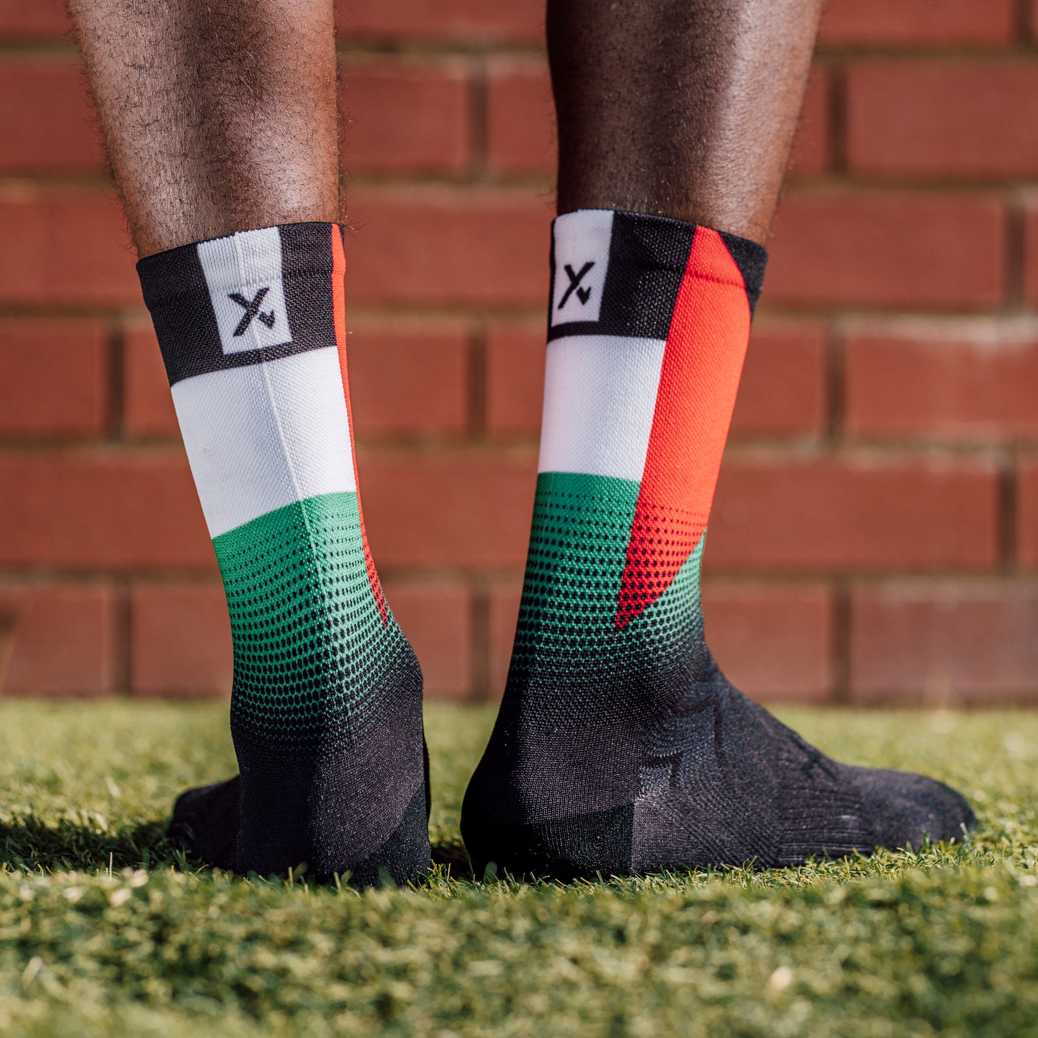 Palestine Flag Crew Socks