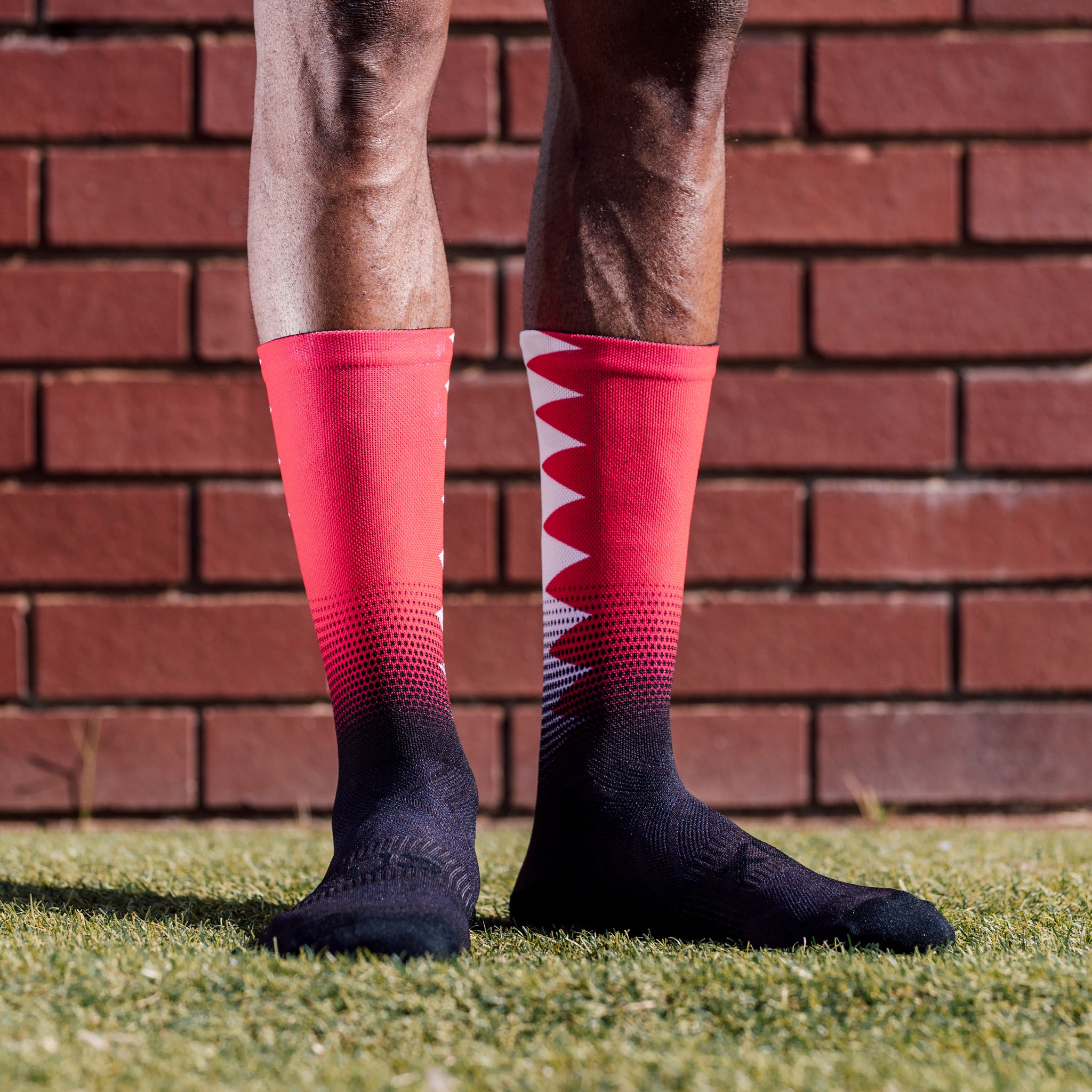 Qatar Flag Crew Socks