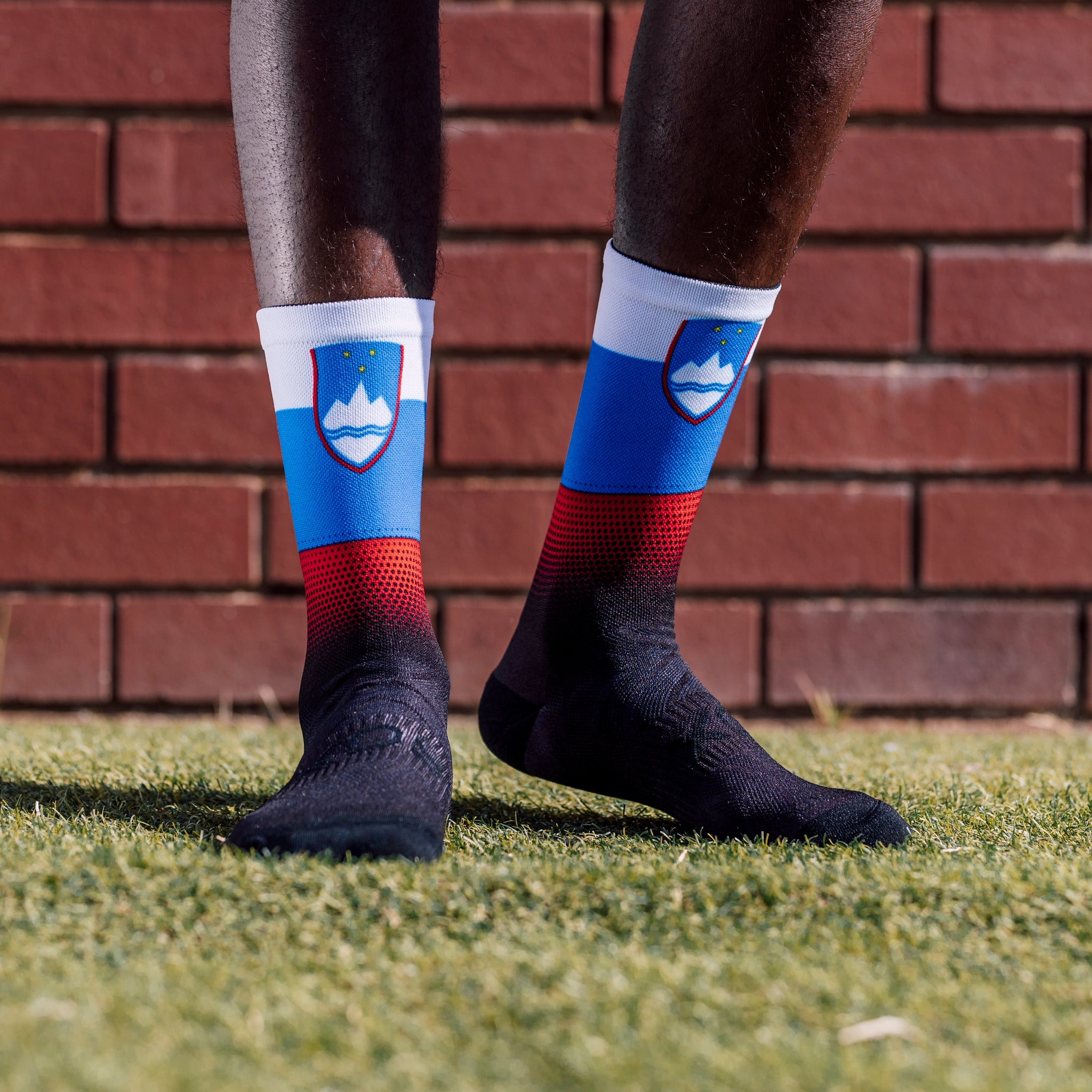 Slovenia Flag Crew Socks