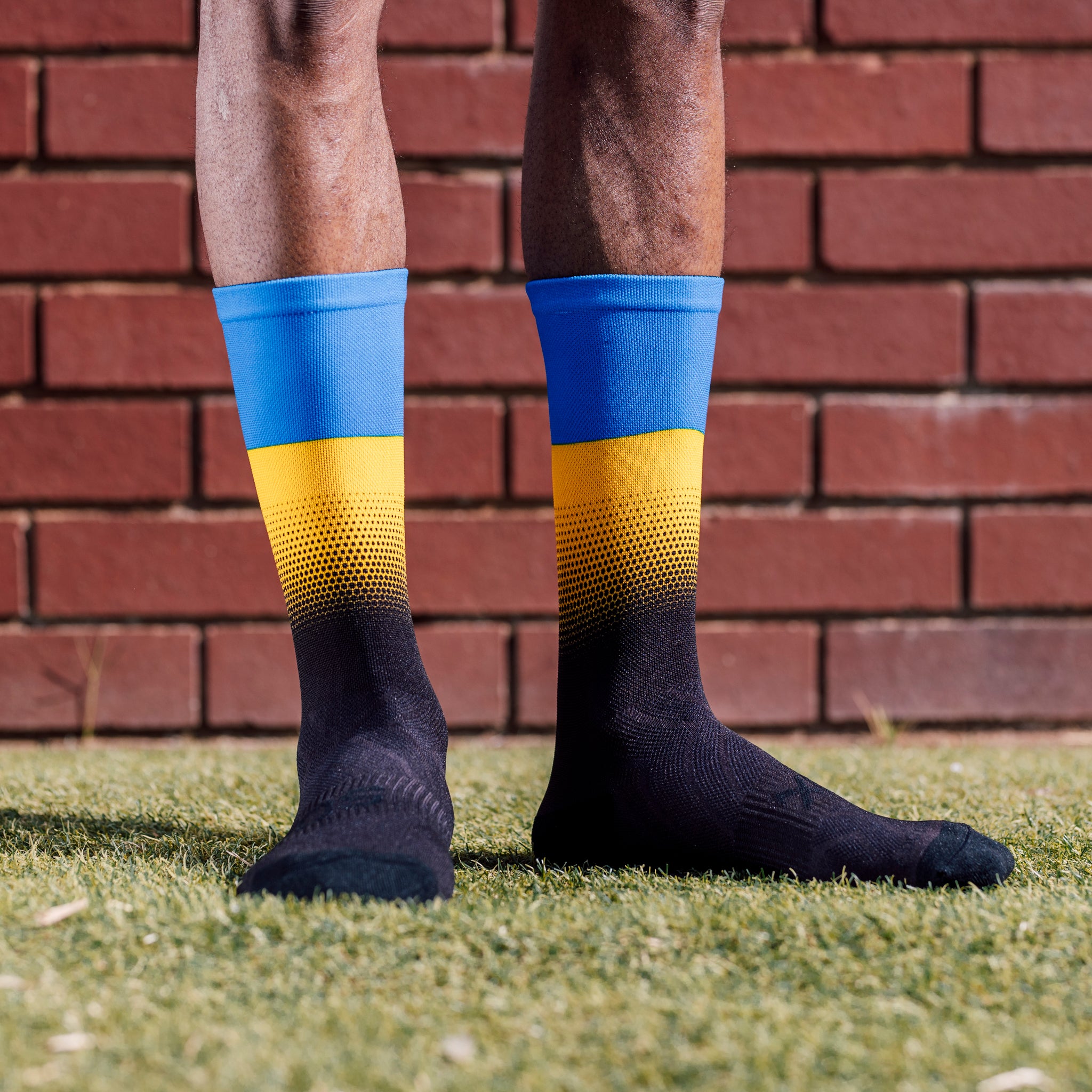 Ukraine Flag Crew Socks