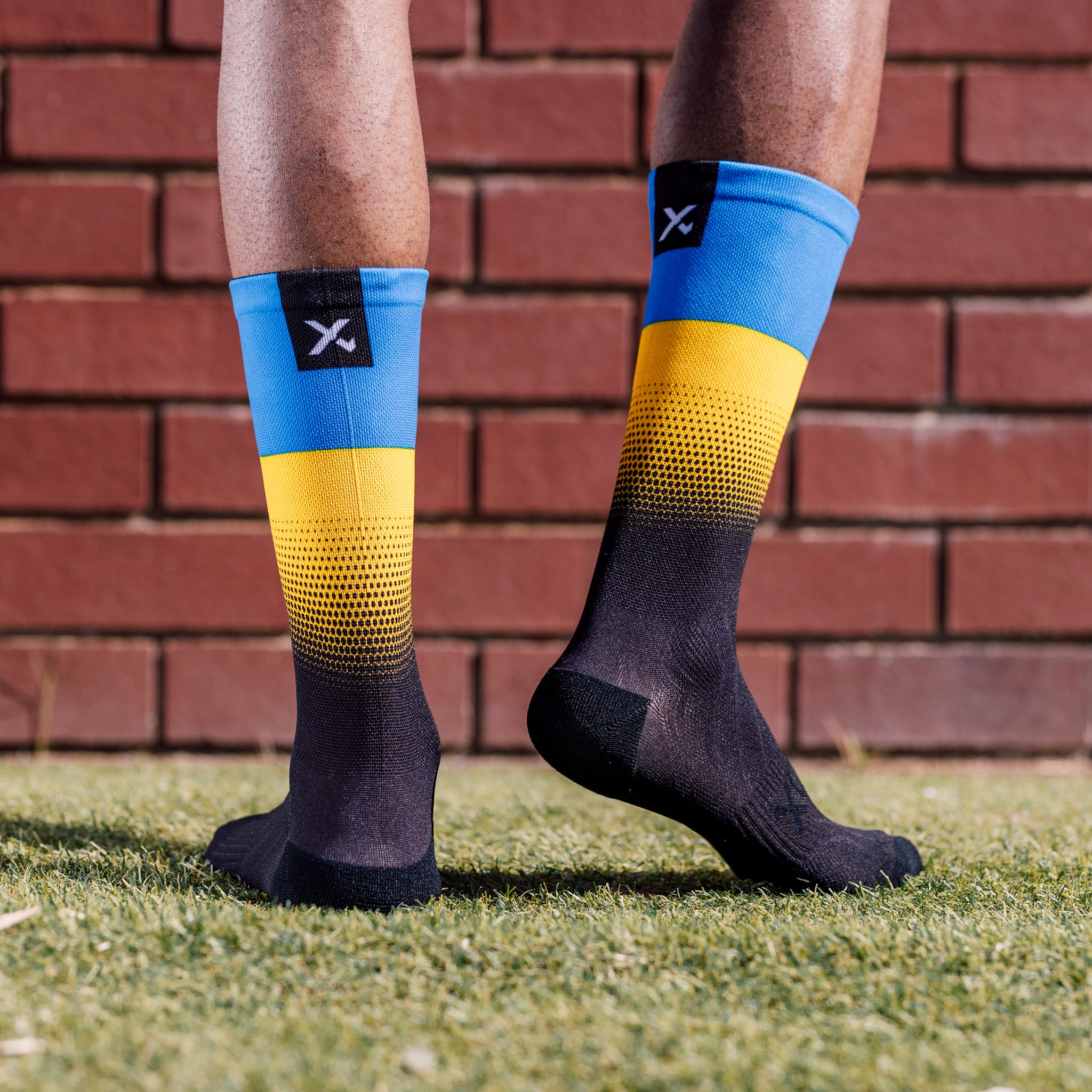 Ukraine Flag Crew Socks