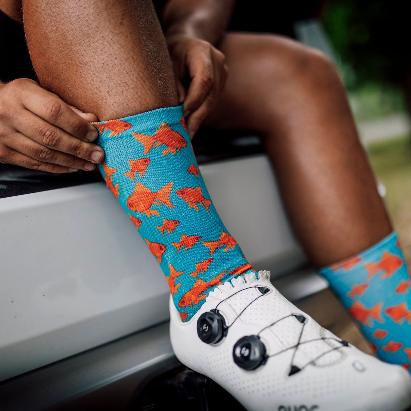 Goldfish Crew Socks