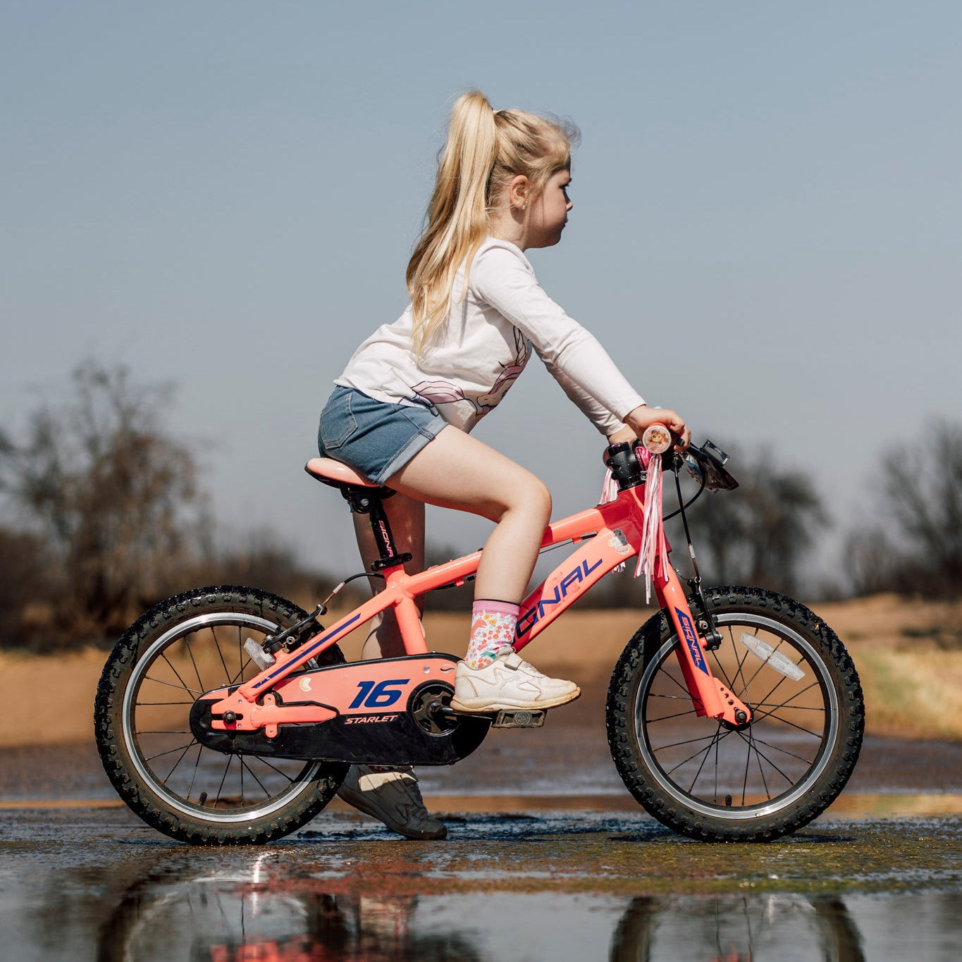 Wonderland & Garden Fairy Kids Crew Socks Combo