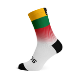 Lithuania Flag Socks