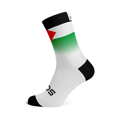 Palestine Flag Crew Socks