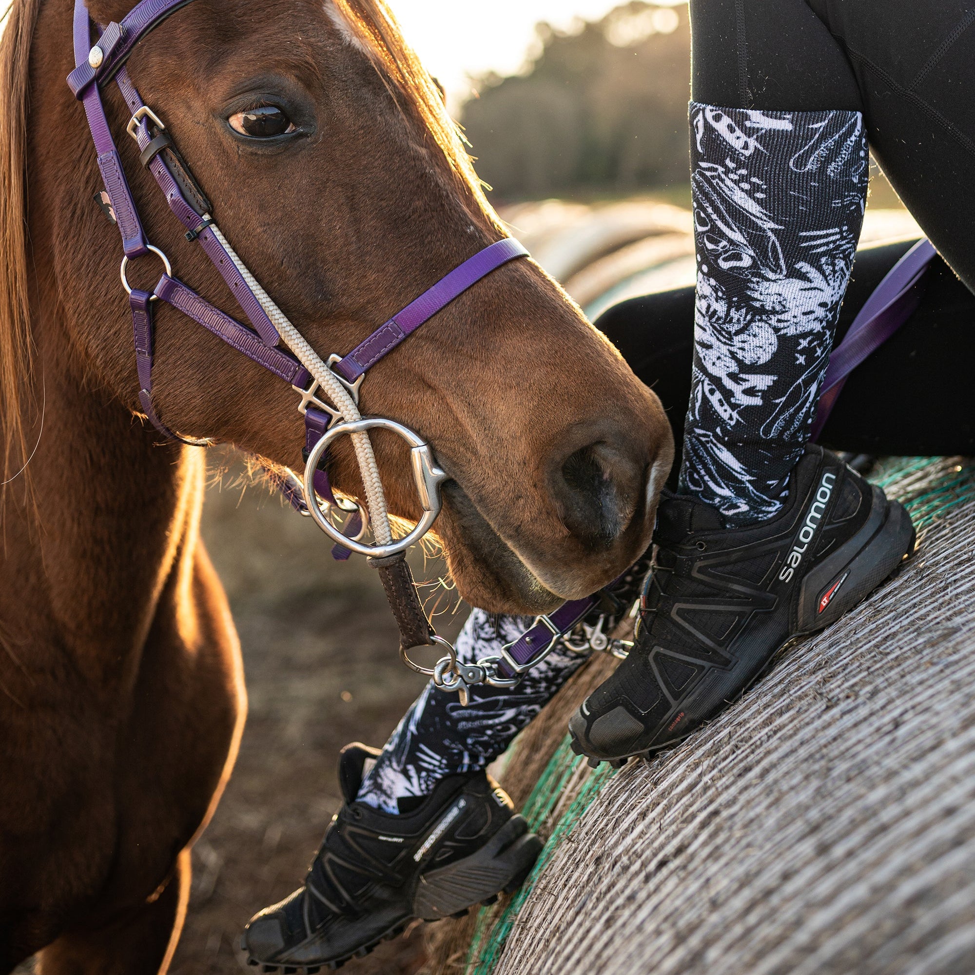 Dinosaur Knee High Socks