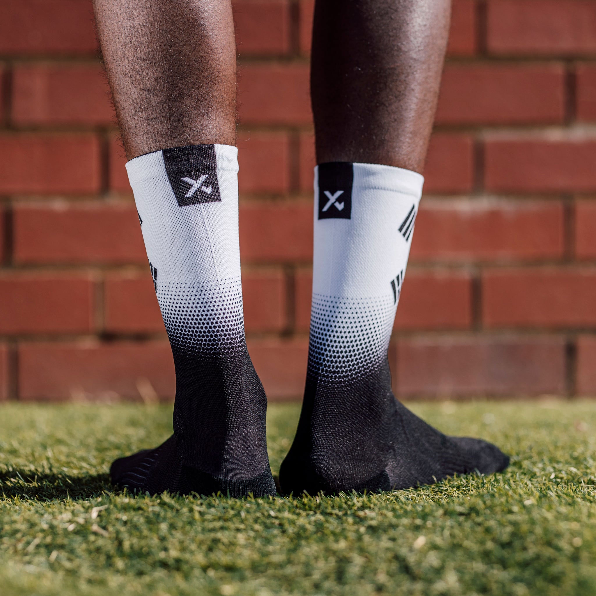 South Korea Flag Crew Socks