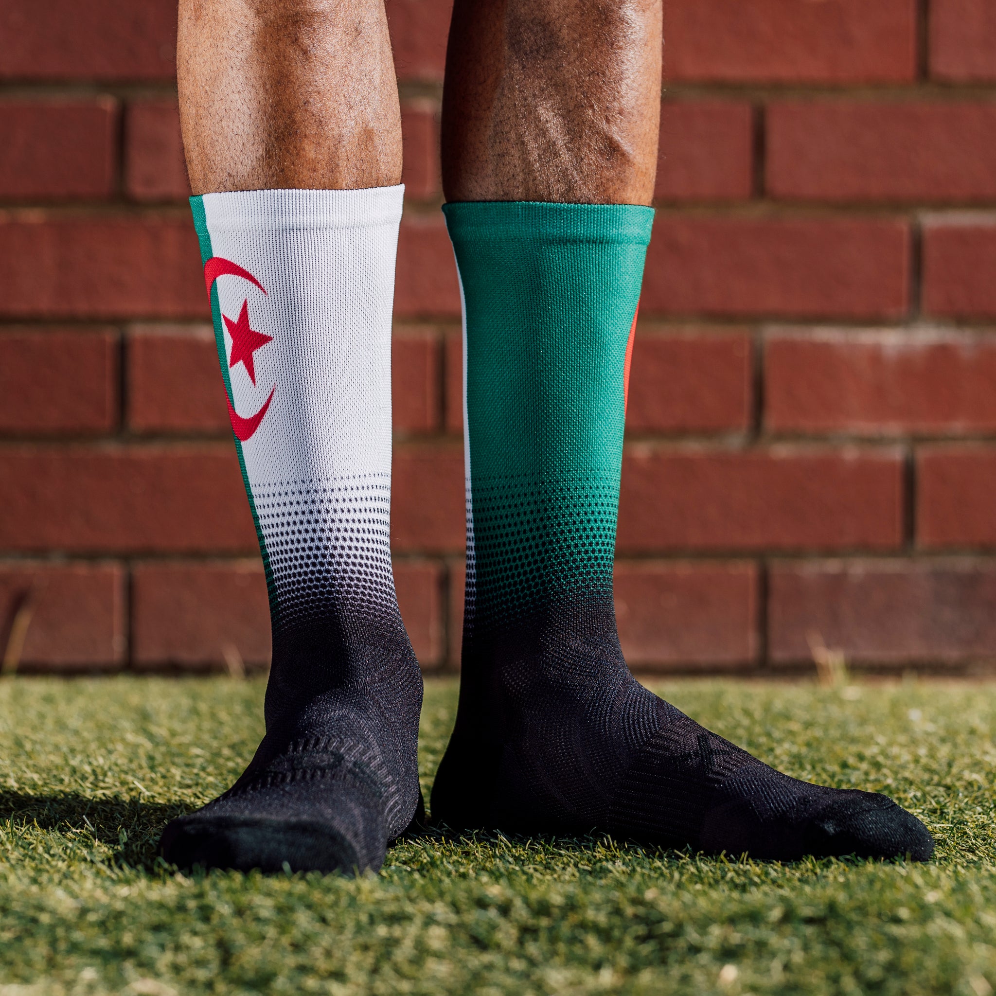 Algeria Flag Crew Socks