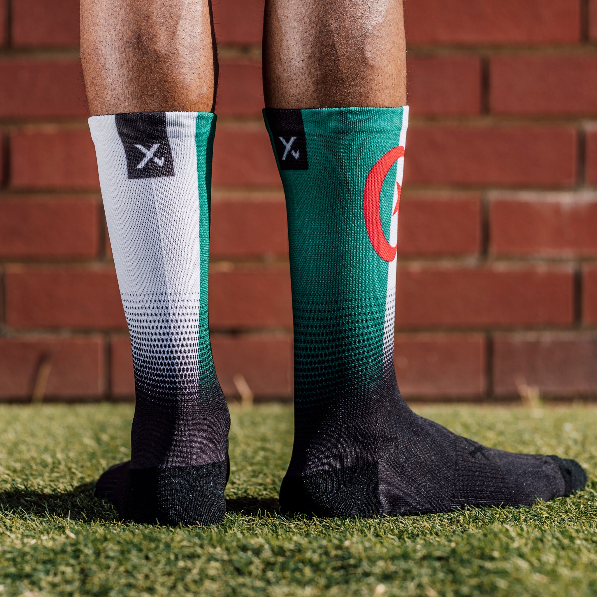 Algeria Flag Crew Socks