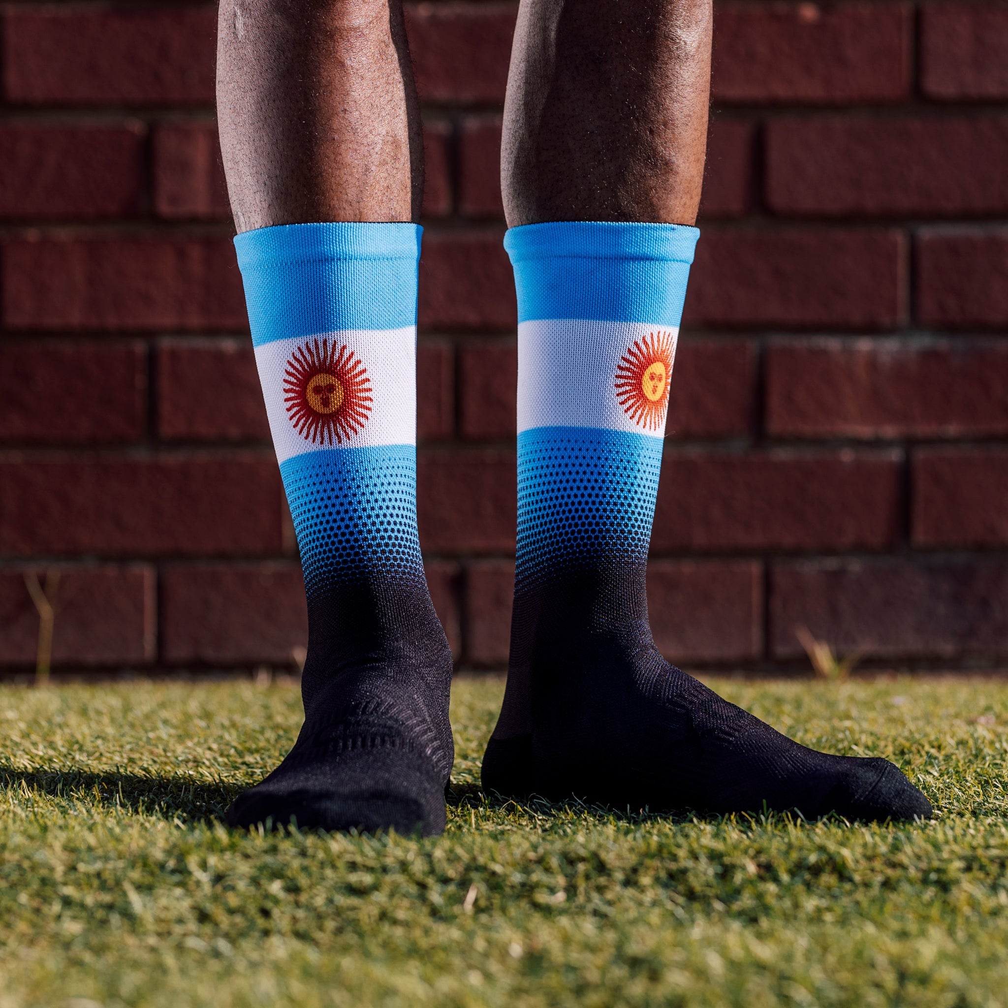 Argentina Flag Crew Socks