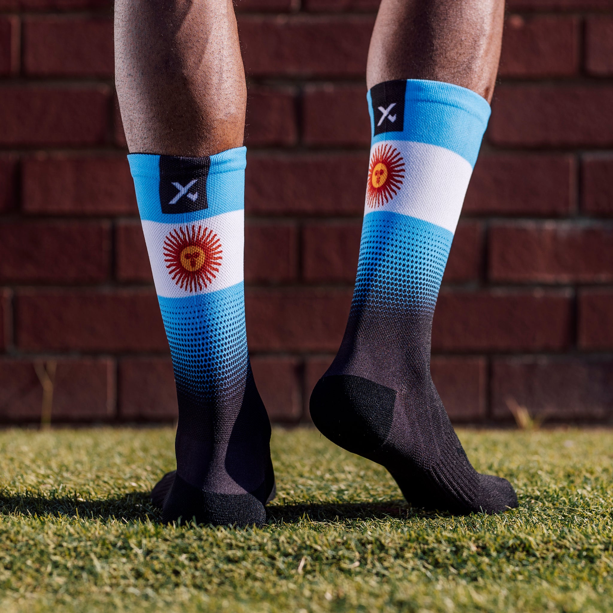 Argentina Flag Crew Socks