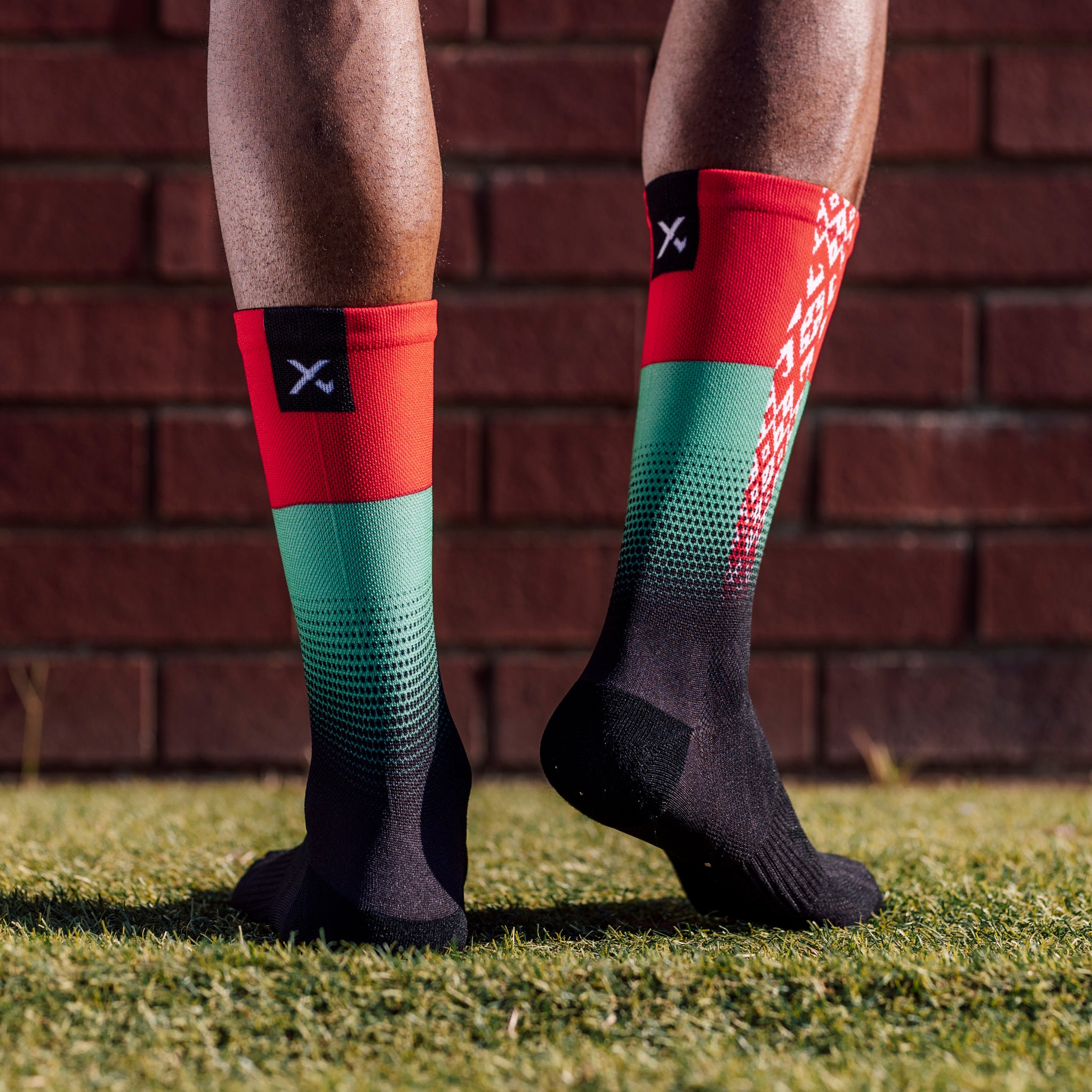 Belarus Flag Crew Socks