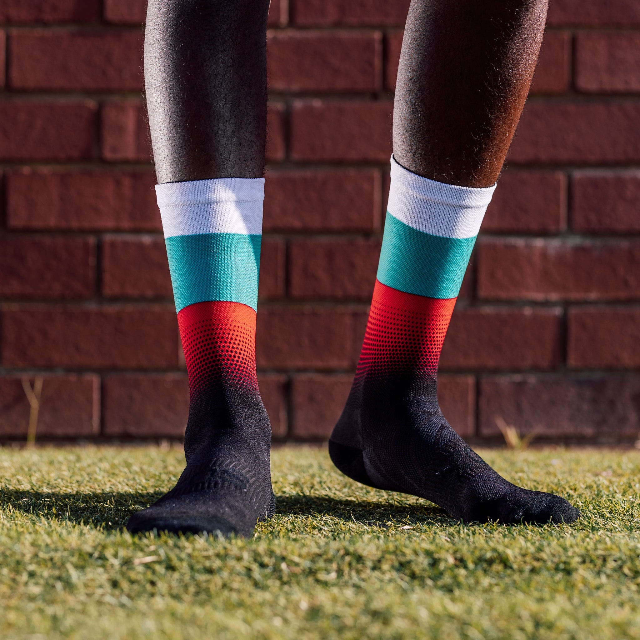 Bulgaria Flag Crew Socks