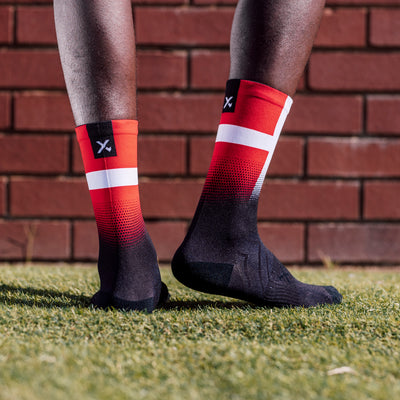 Denmark Flag Crew Socks
