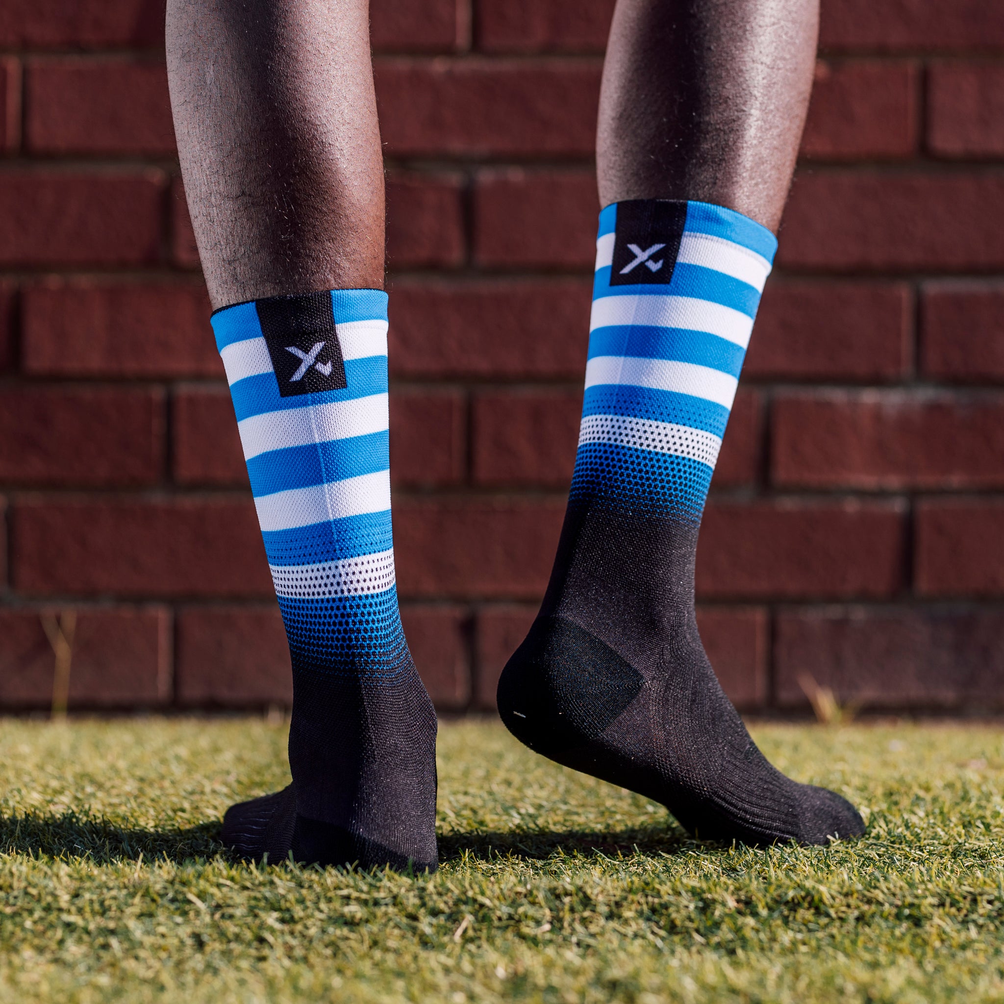 Greece Flag Crew Socks