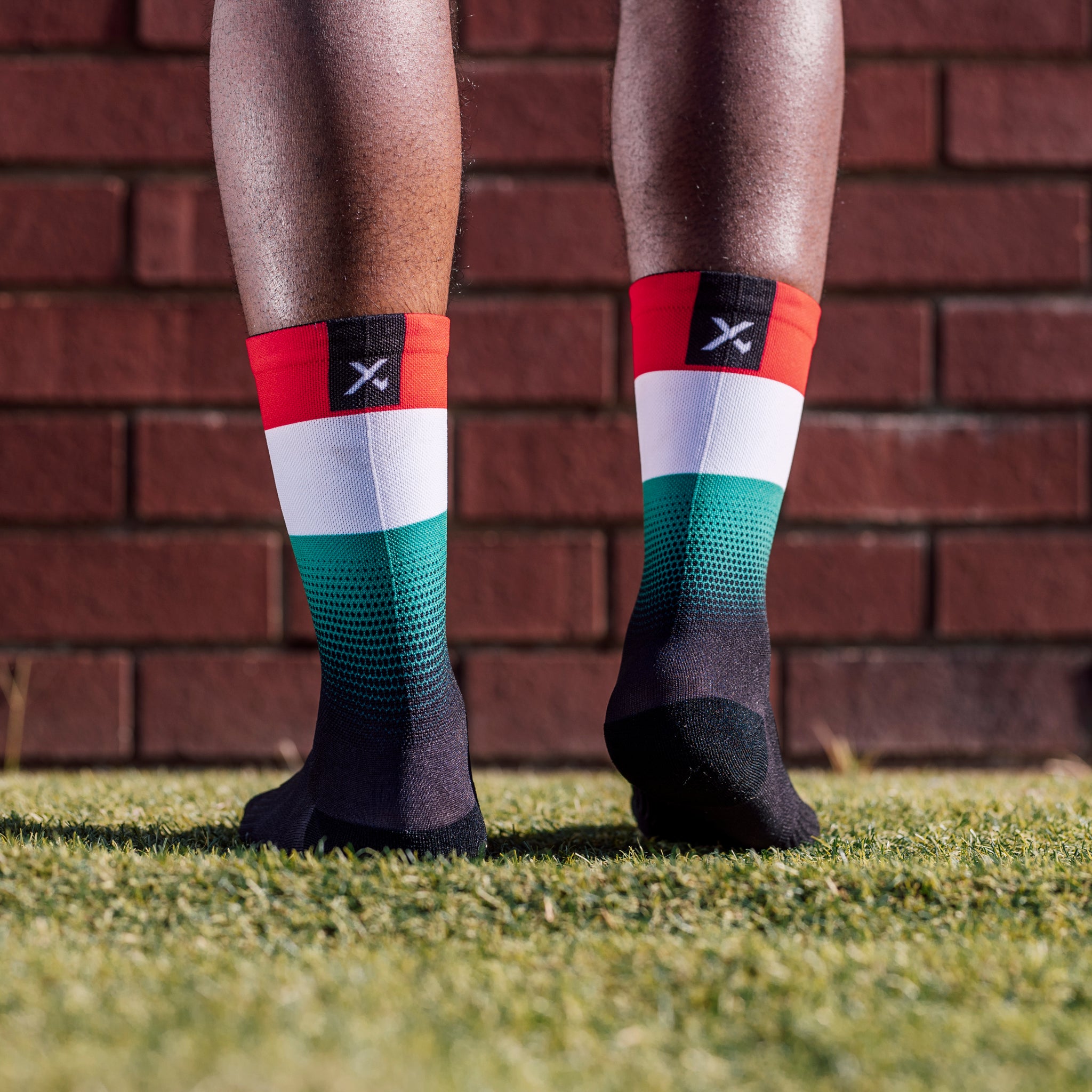 Hungary Flag Crew Socks
