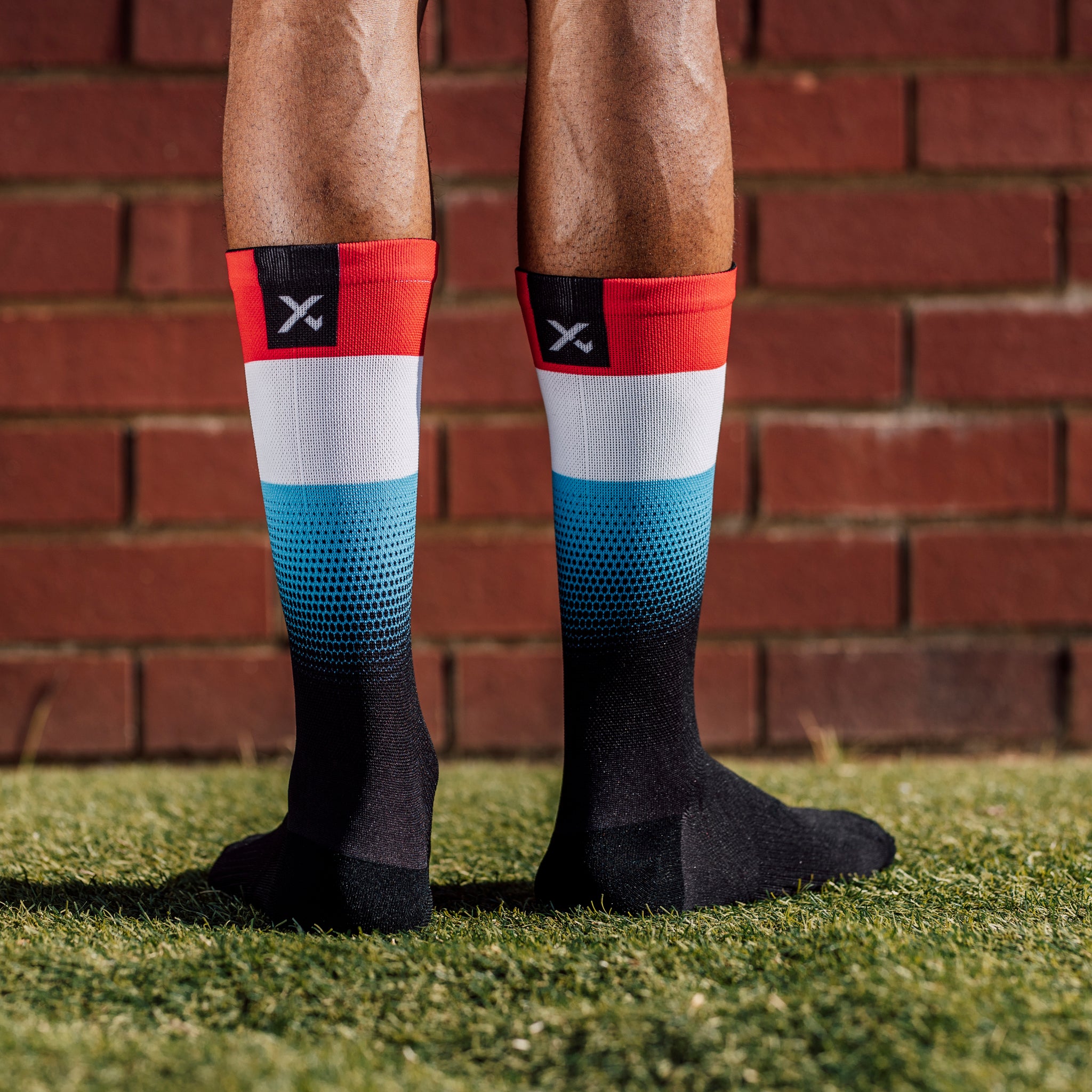 Luxembourg Flag Crew Socks
