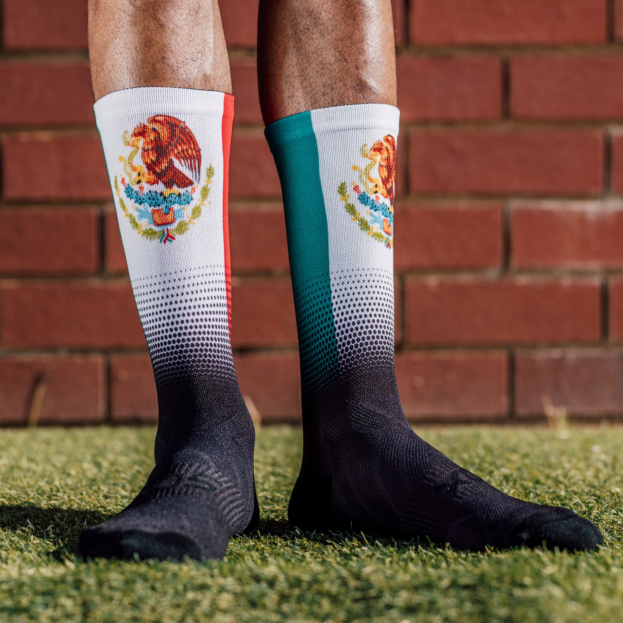 Mexico Flag Crew Socks