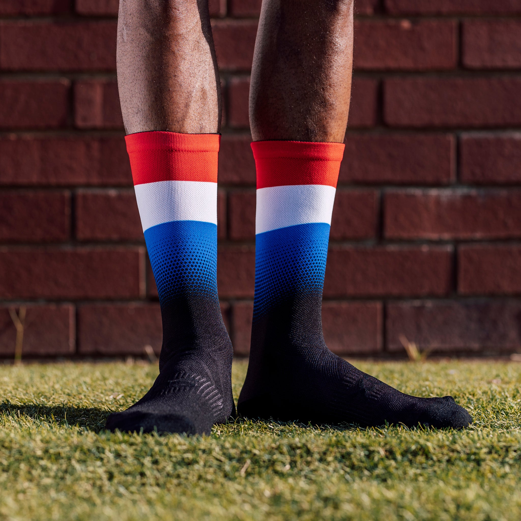 Netherlands Flag Crew Socks