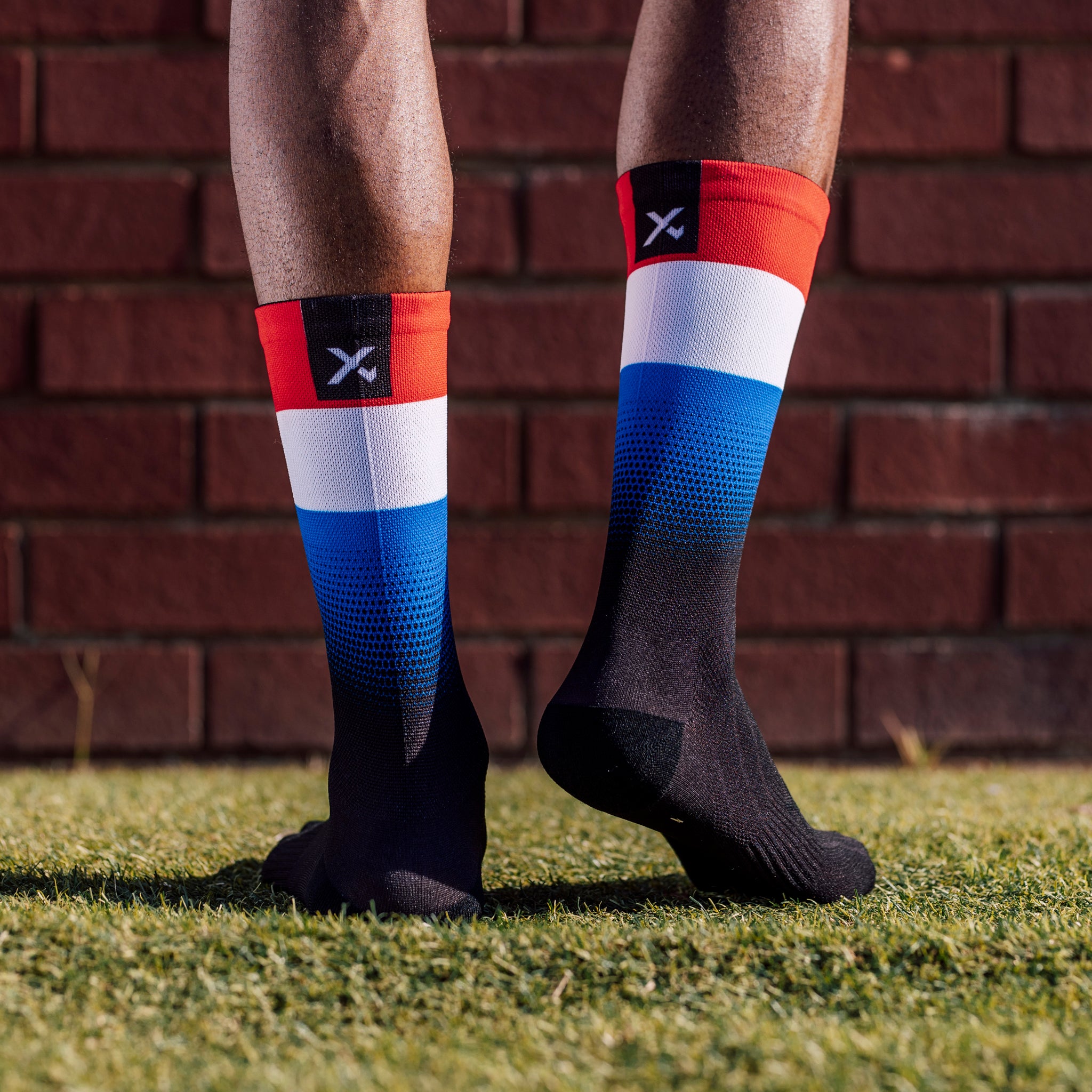 Netherlands Flag Crew Socks