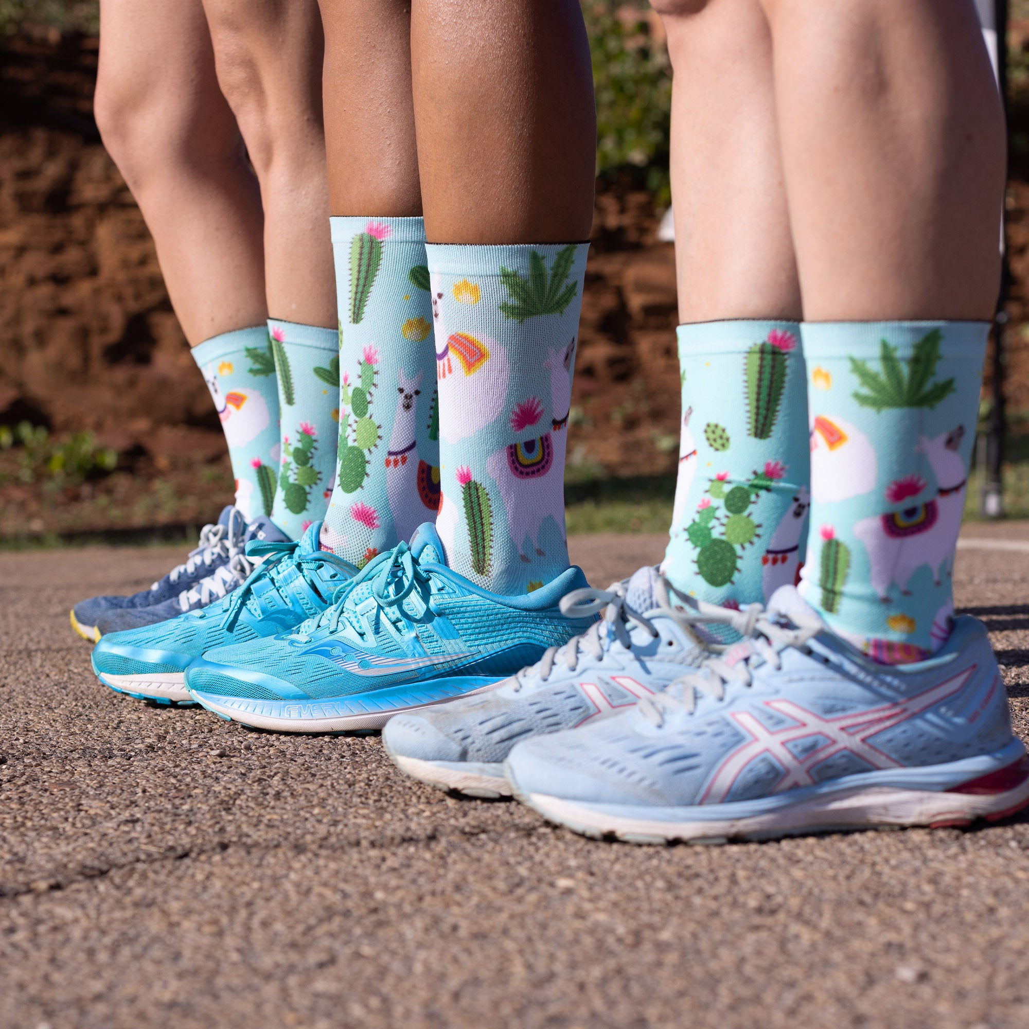 Llama Casual Crew Socks