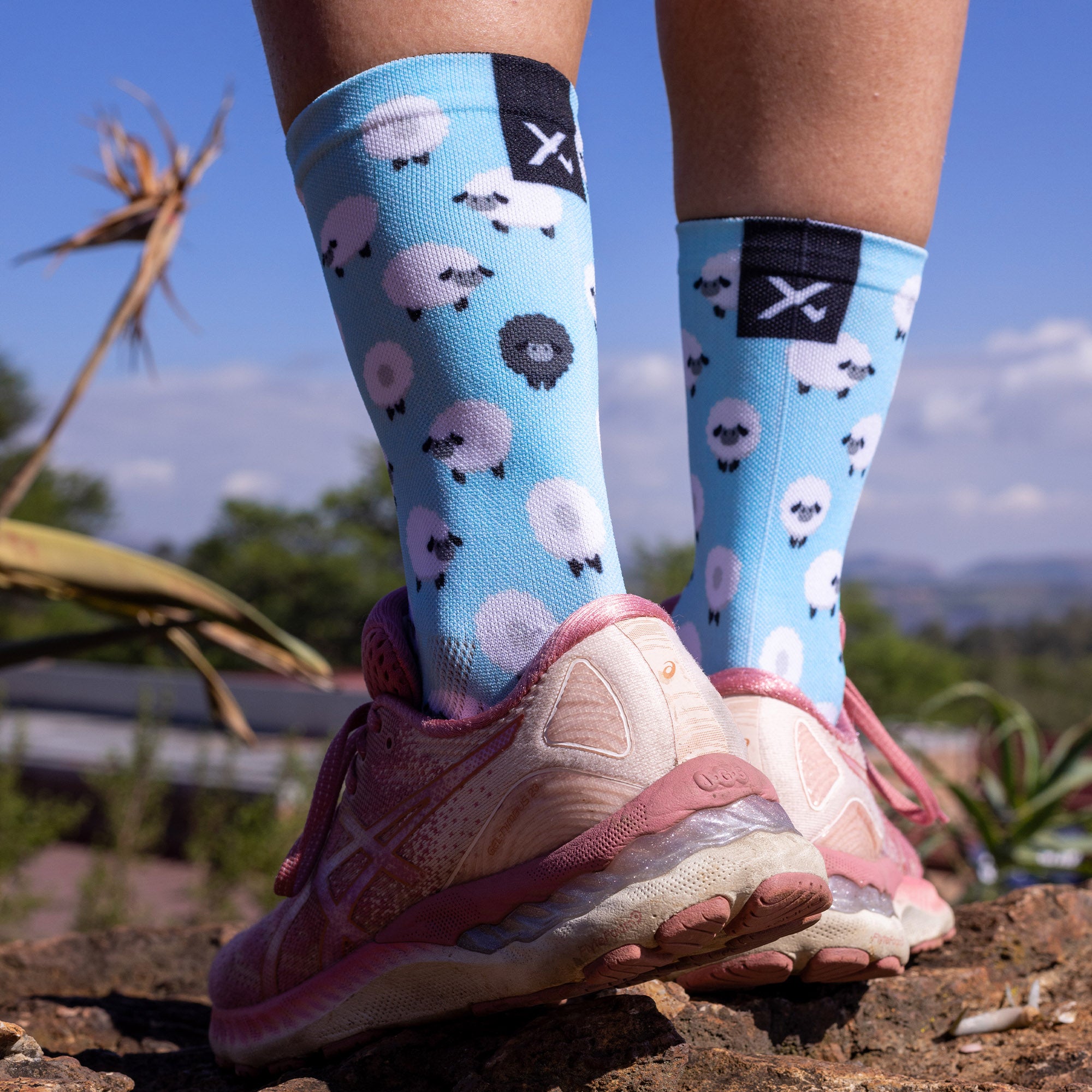 Sheep Casual Crew Socks